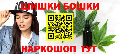 молекула духа Будённовск