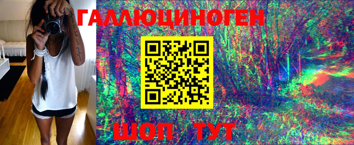 Псилоцибиновые грибы Psilocybine cubensis Саяногорск